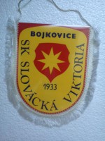 /album/bojkovice/bojkovice-sk-slovacka-viktoria-18-jpg/